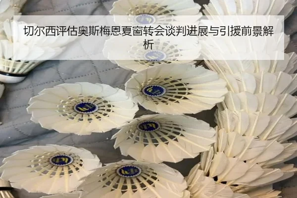 切尔西评估奥斯梅恩夏窗转会谈判进展与引援前景解析