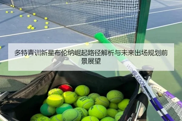 多特青训新星布伦纳崛起路径解析与未来出场规划前景展望